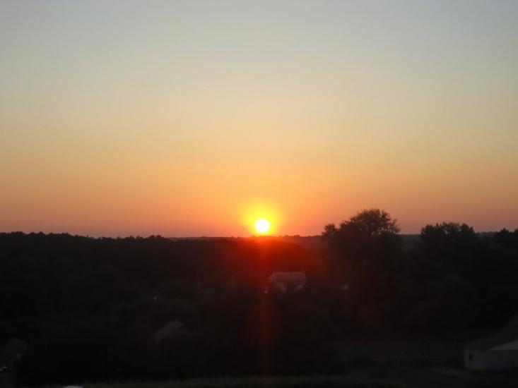 Дрозди з panoramio.com - Дрозди