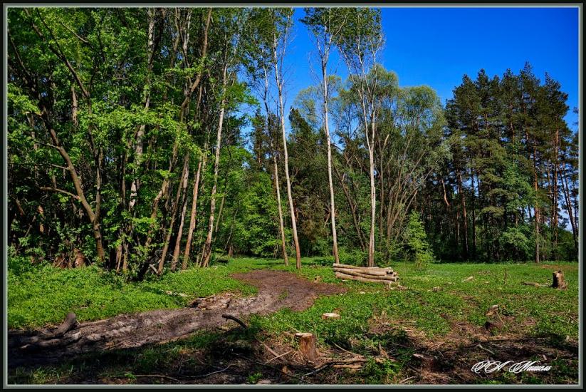 Серебрянка з panoramio.com - Serebryanka