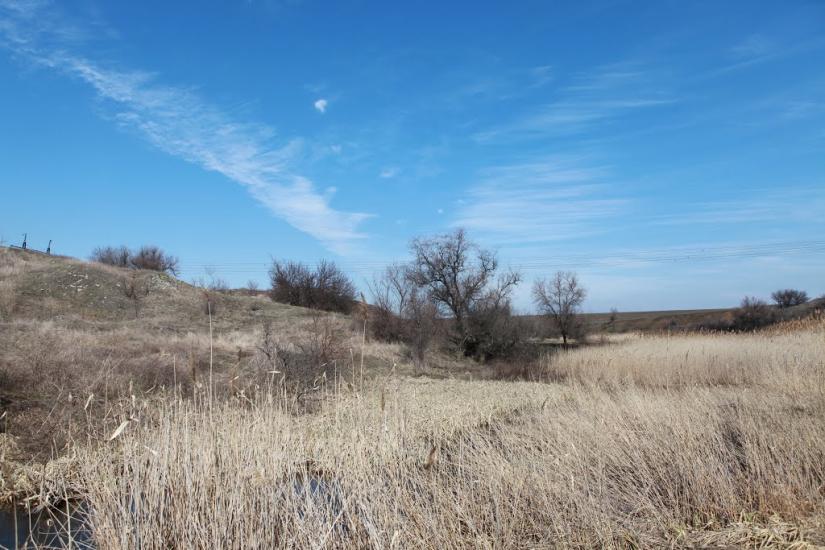 Новокатеринівка з panoramio.com - Новокатеринівка