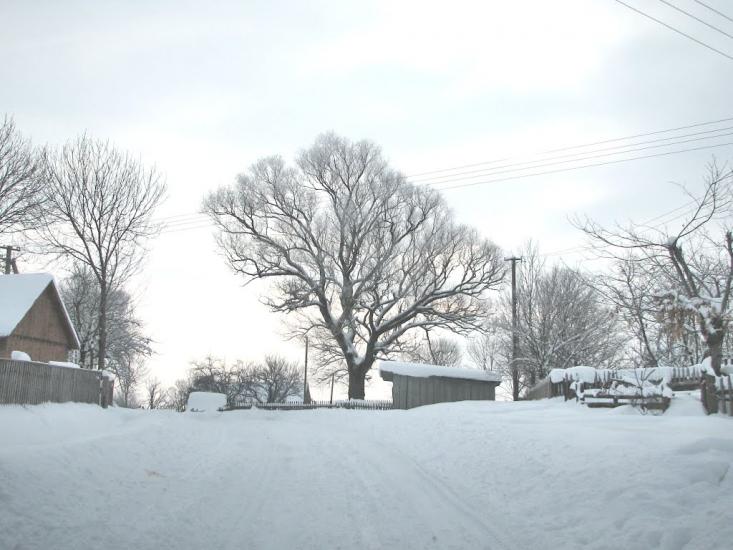 Шандровець з panoramio.com - Шандровец