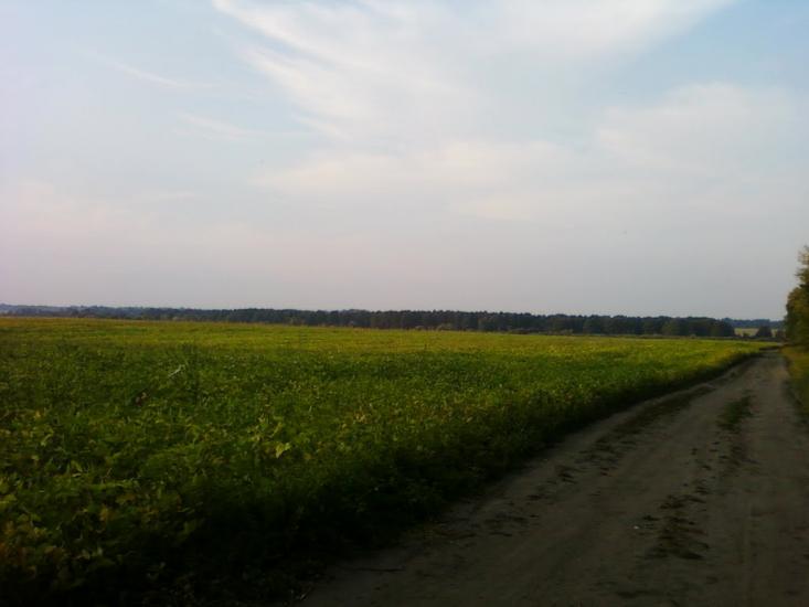 Сальник з panoramio.com - Сальник