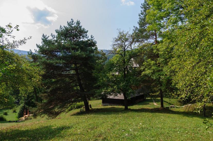 Кострина з panoramio.com - Кострина
