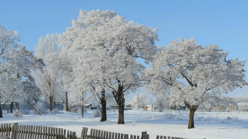 Кобеляки з panoramio.com - Kobelyaki