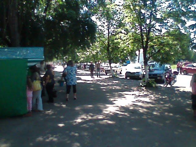 Ріпки з panoramio.com - Ріпки
