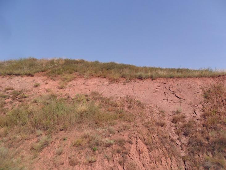 Новгородське з panoramio.com - Новгородське