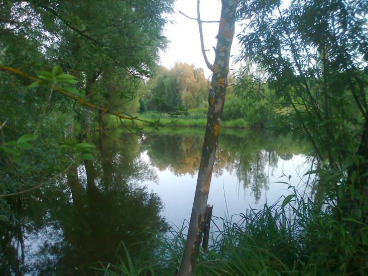 Товсті Роги з panoramio.com - Товсті Роги