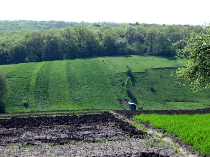 Шкарівка з panoramio.com - Шкаровка