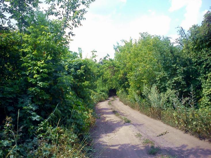 Кіровськ з panoramio.com - Кировск