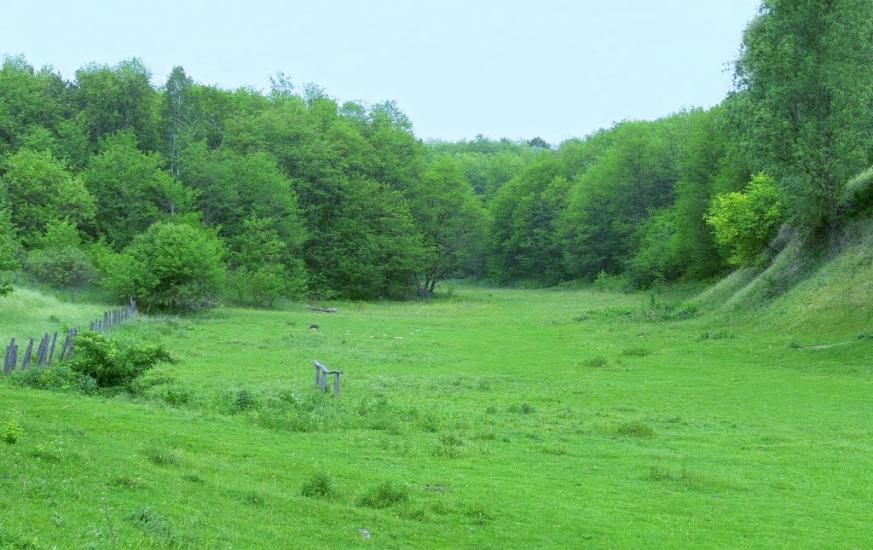 Будище з panoramio.com - Будище