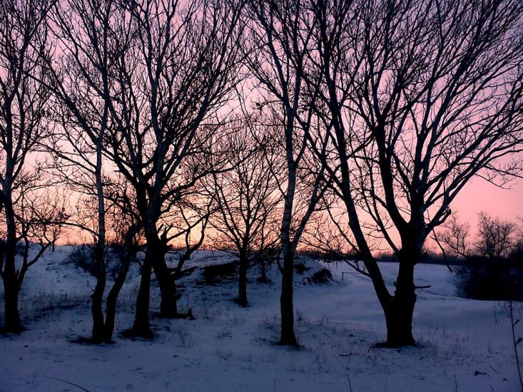 Суворове з panoramio.com - Suvorove