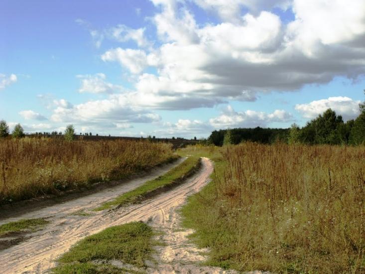 Хотин з panoramio.com - Хотин