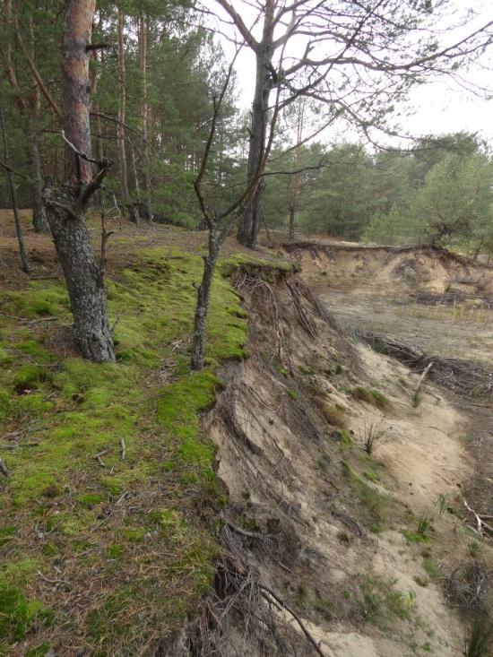 Житнівка з panoramio.com - Житновка