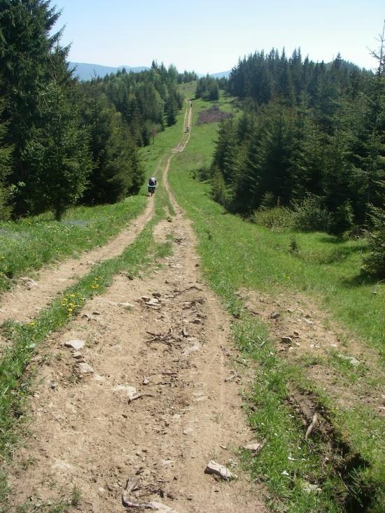 Завийка з panoramio.com - Завийка