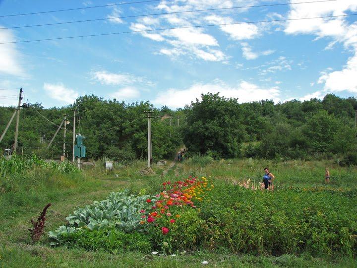 Литвинівка з panoramio.com - Литвиновка