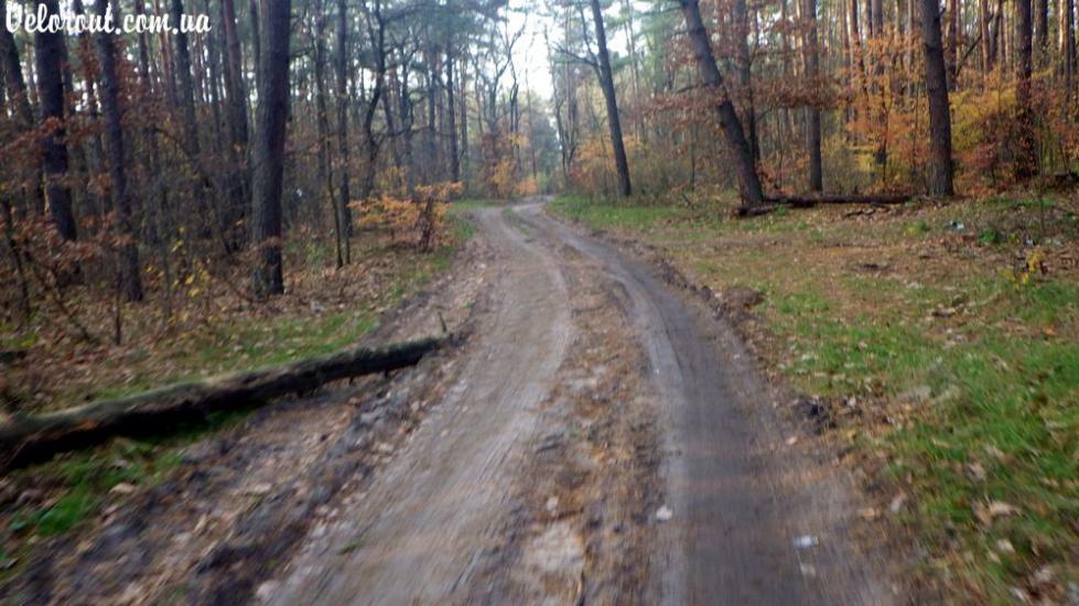 Княжичі з panoramio.com - Княжичи