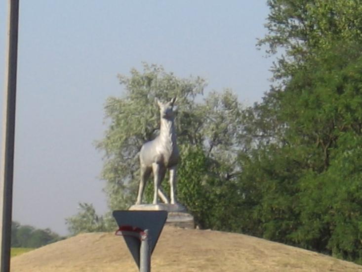 Якимівка з panoramio.com - Акимовка