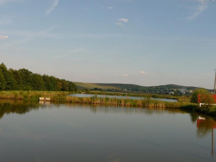 Старі Кривотули з panoramio.com - Старі Кривотули