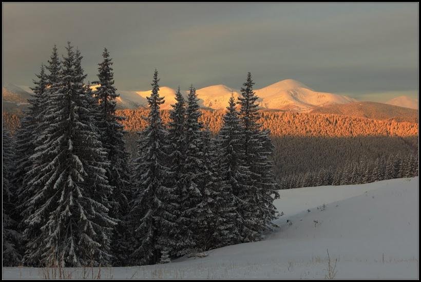 Кривопілля з panoramio.com - Кривопілля