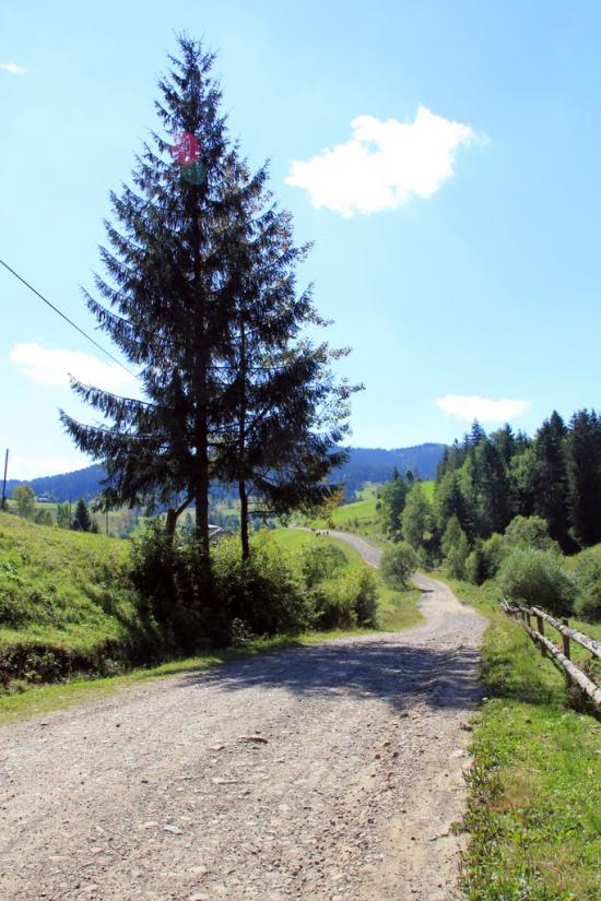 Сенечів з panoramio.com - Сенечев