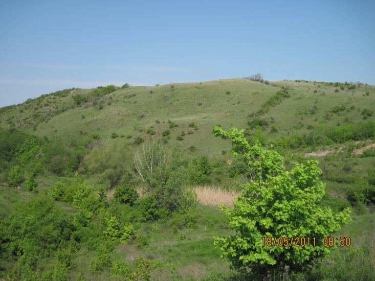 Киселеве з panoramio.com - Киселево