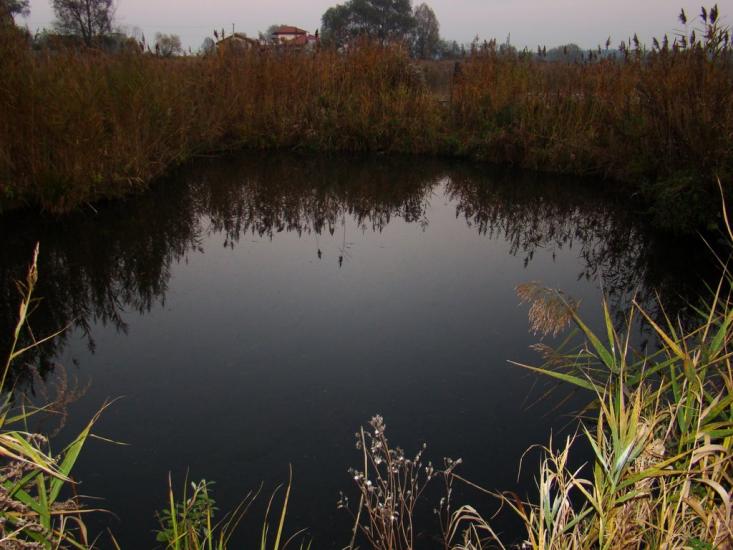 Музичі з panoramio.com - Музычи