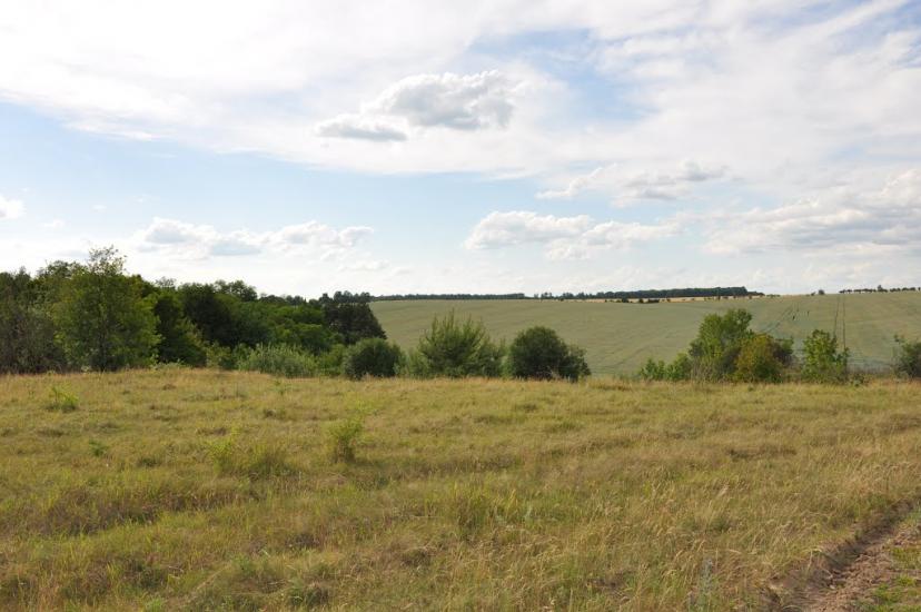 Шарапанівка з panoramio.com - Шарапанівка
