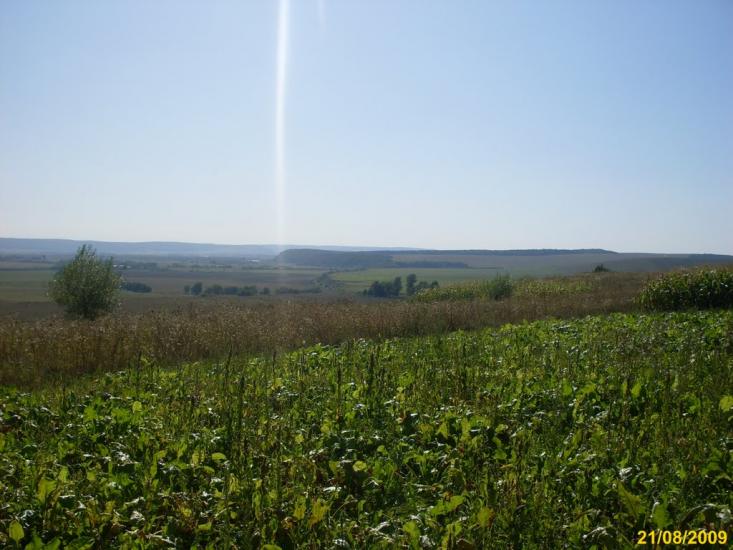 Тростянці з panoramio.com - Тростянцы