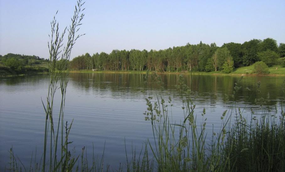 Ковалівка з panoramio.com - Ковалівка