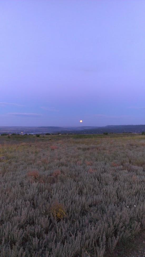 Малокостянтинівка з panoramio.com - Малоконстантиновка