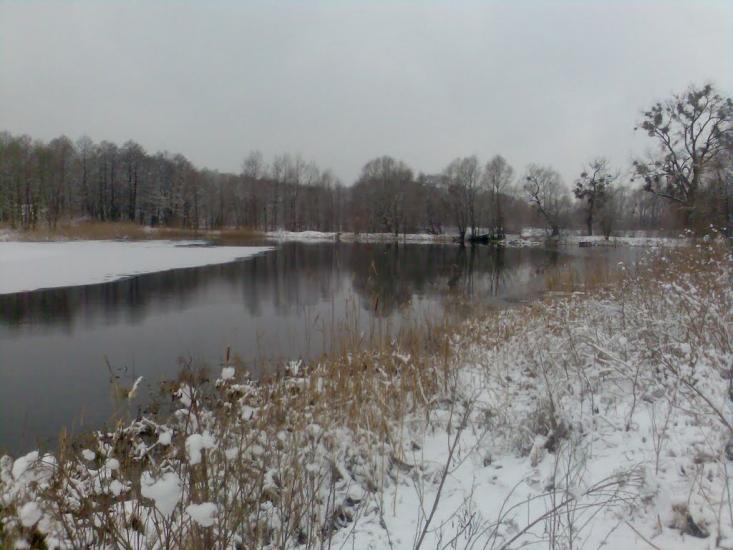 Радивилів з panoramio.com - Радивилов