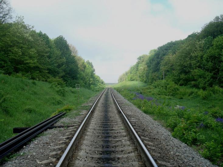 Нестерівці з panoramio.com - Нестерівці
