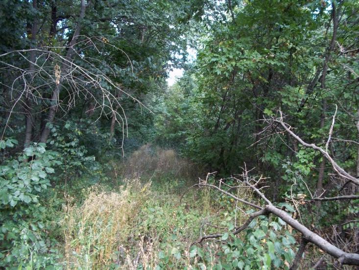 Леніна Друге з panoramio.com - Ленина Второе
