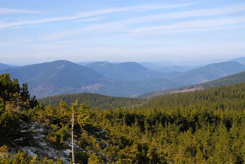 Мислівка з panoramio.com - Мысливка