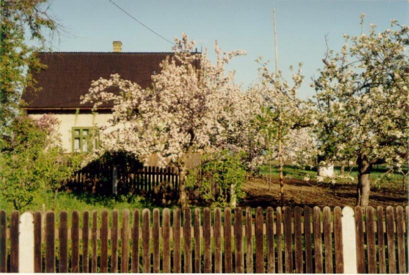 Аршиця з panoramio.com - Аршица