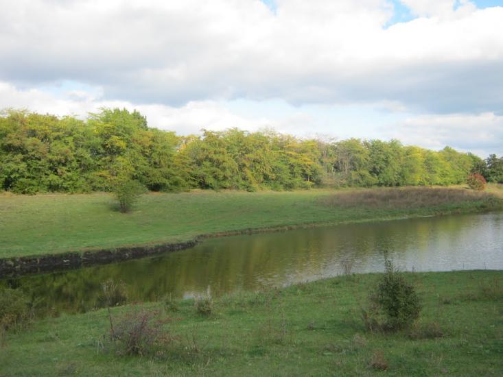 Христофорівка з panoramio.com - Христофоровка