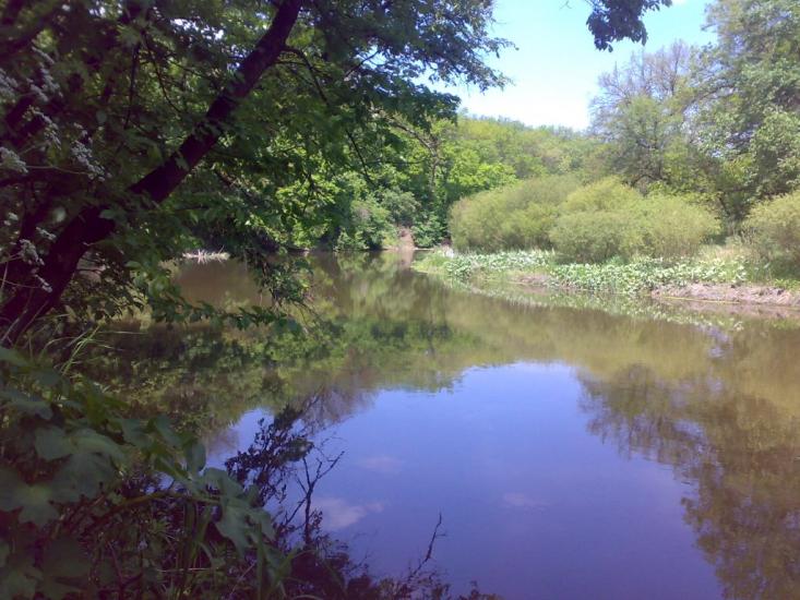 Підлісне з panoramio.com - Pidlisne