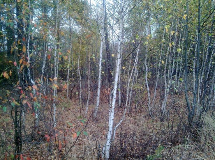 Ватутіне з panoramio.com - Ватутіне