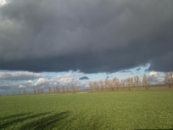 Сад з panoramio.com - Сад