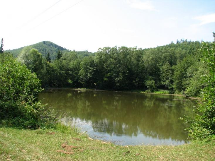 Манява з panoramio.com - Манява