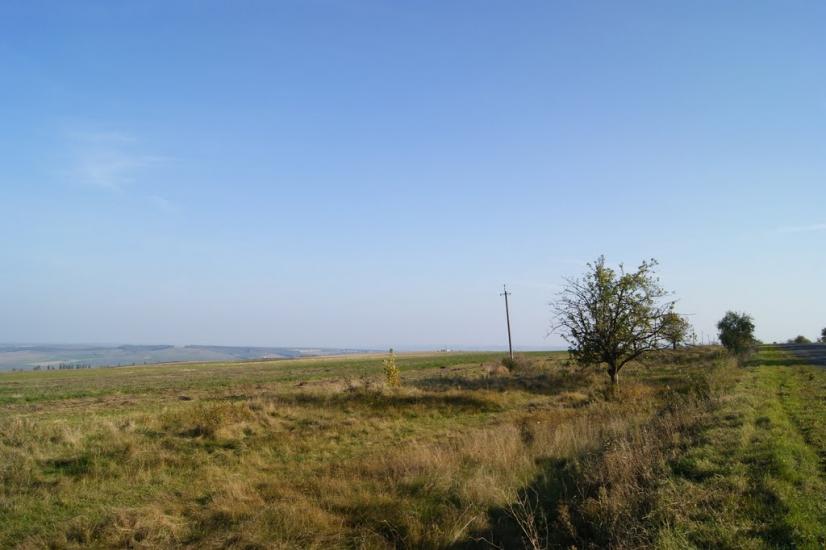 Несвоя з panoramio.com - Nesvoya