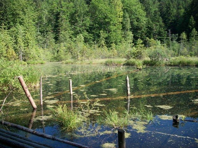 Кам'янка з panoramio.com - Каменка