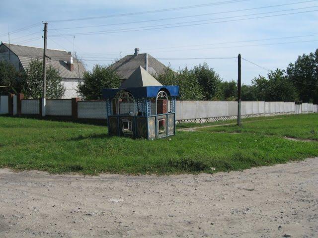 Кочеток з panoramio.com - Kochetok