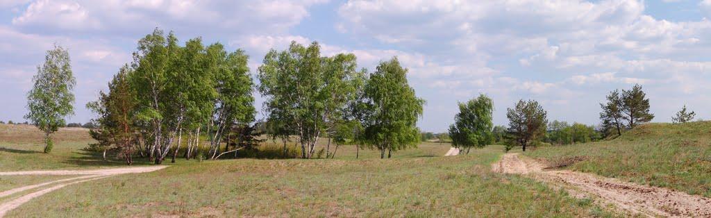 Кицівка з panoramio.com - Кицевка