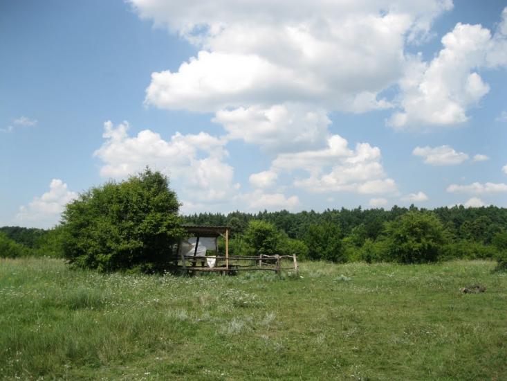 Рогізна з panoramio.com - Рогозна
