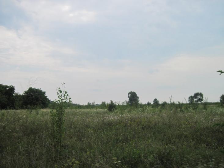 Павлиш з panoramio.com - Павлыш