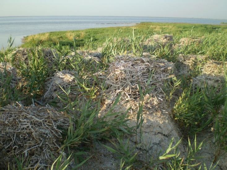 Хорли з panoramio.com - Хорлы