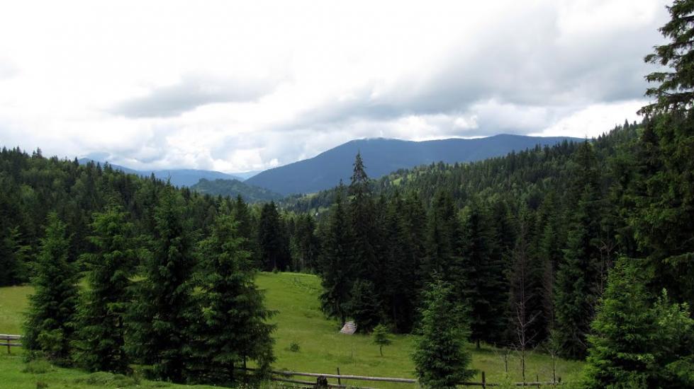Сенечів з panoramio.com - Сенечів