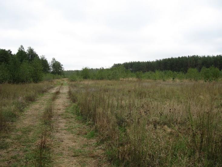 Кропивня з panoramio.com - Kropyvnya