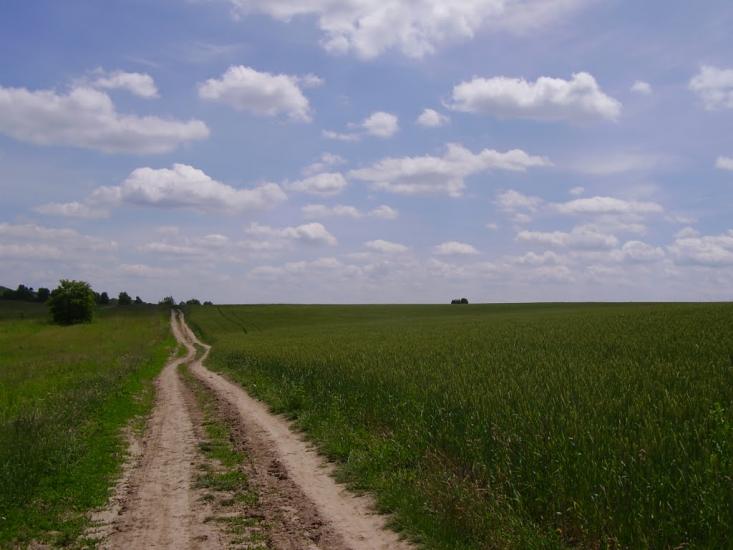 Коржівці з panoramio.com - Коржевцы