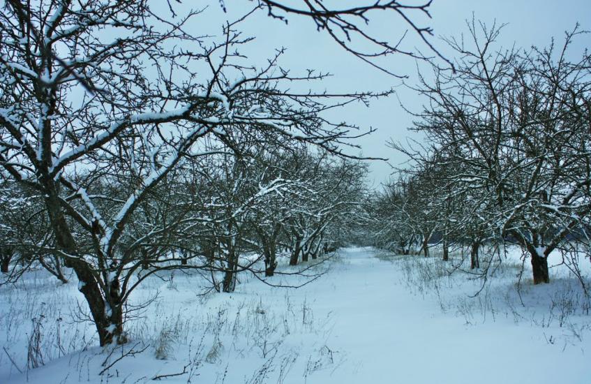 Бурімка з panoramio.com - Burimka